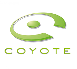 Coyote